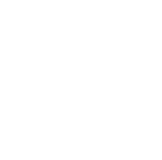 Logo-CRS